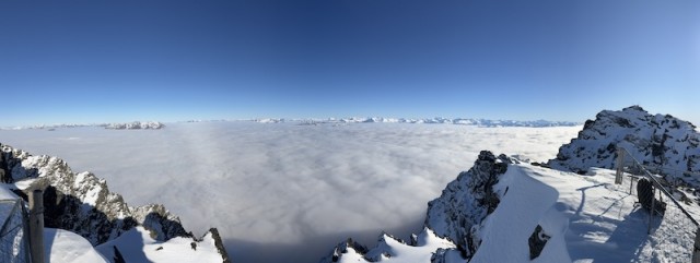IMG_7384